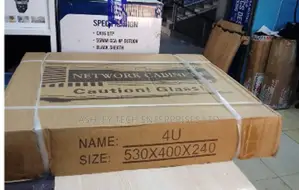 Secure 4U Network Cabinet for Switches and Routers
