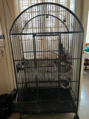 Bird Cage, for Kasuku