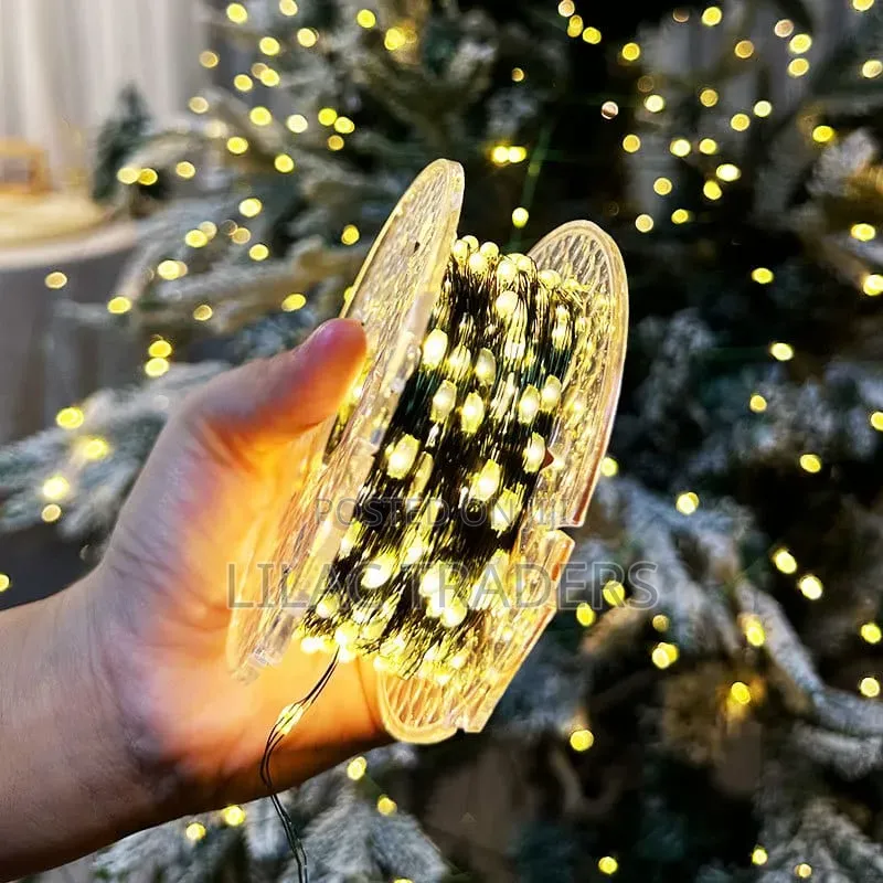 20M 200 LED Fairy String Lights for Christmas Decoration Bli