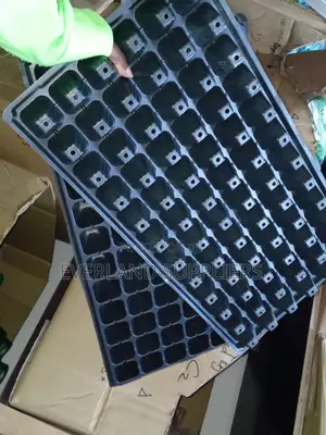 Organized Seedling Growing Trays