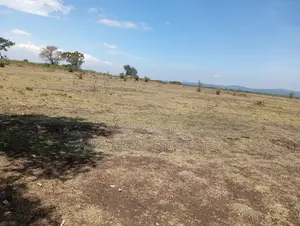 Prime Land for Sale in Kaabati, Murang’a County