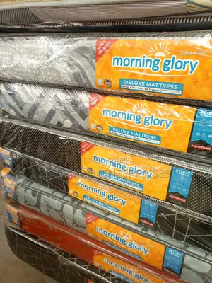 5*6 10" Quilted Morning Glory Foam Mattress by Superfoam
