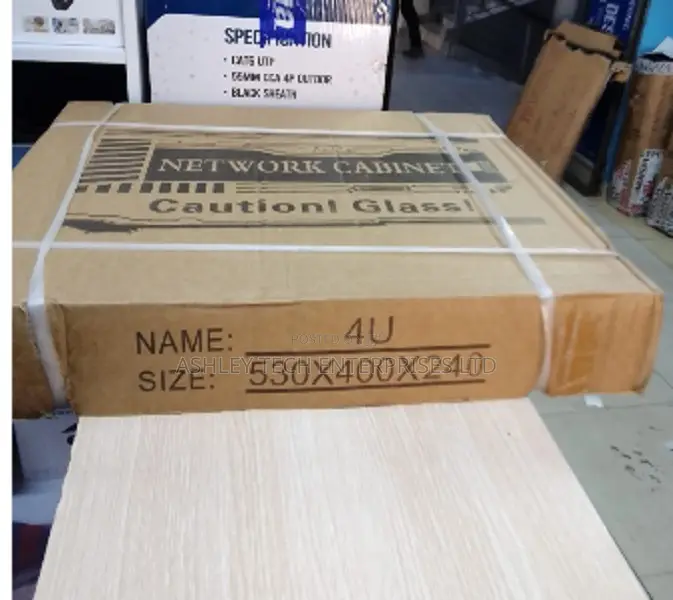 Multipurpose 4U Network and CCTV Cabinet