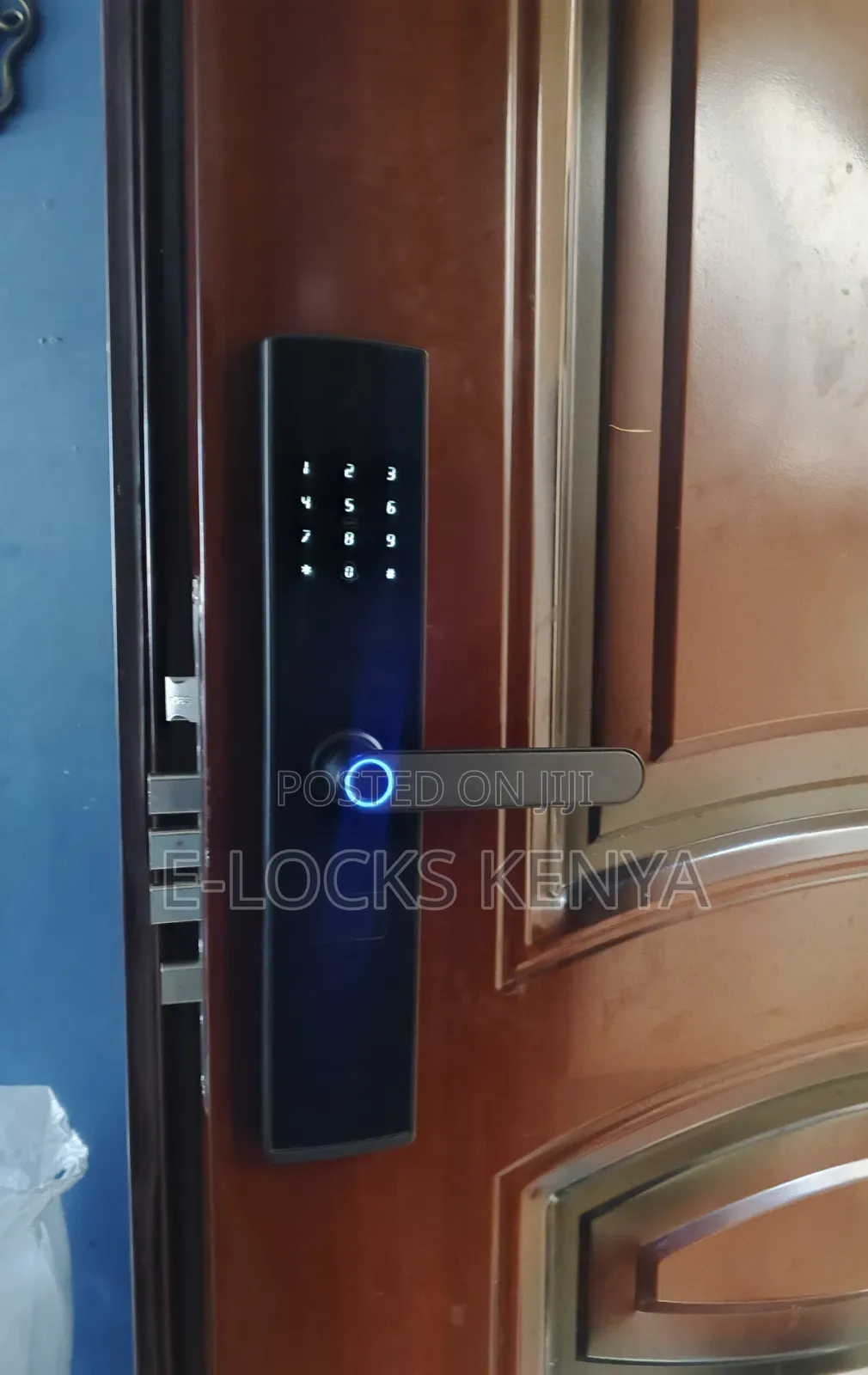 E-Locks Tuya Biometric Smart Digital Locks With Fingerprint Unlock