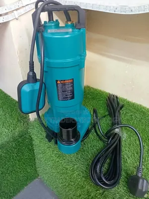 QDX Sewage Pump 2hp 2inch Outlet