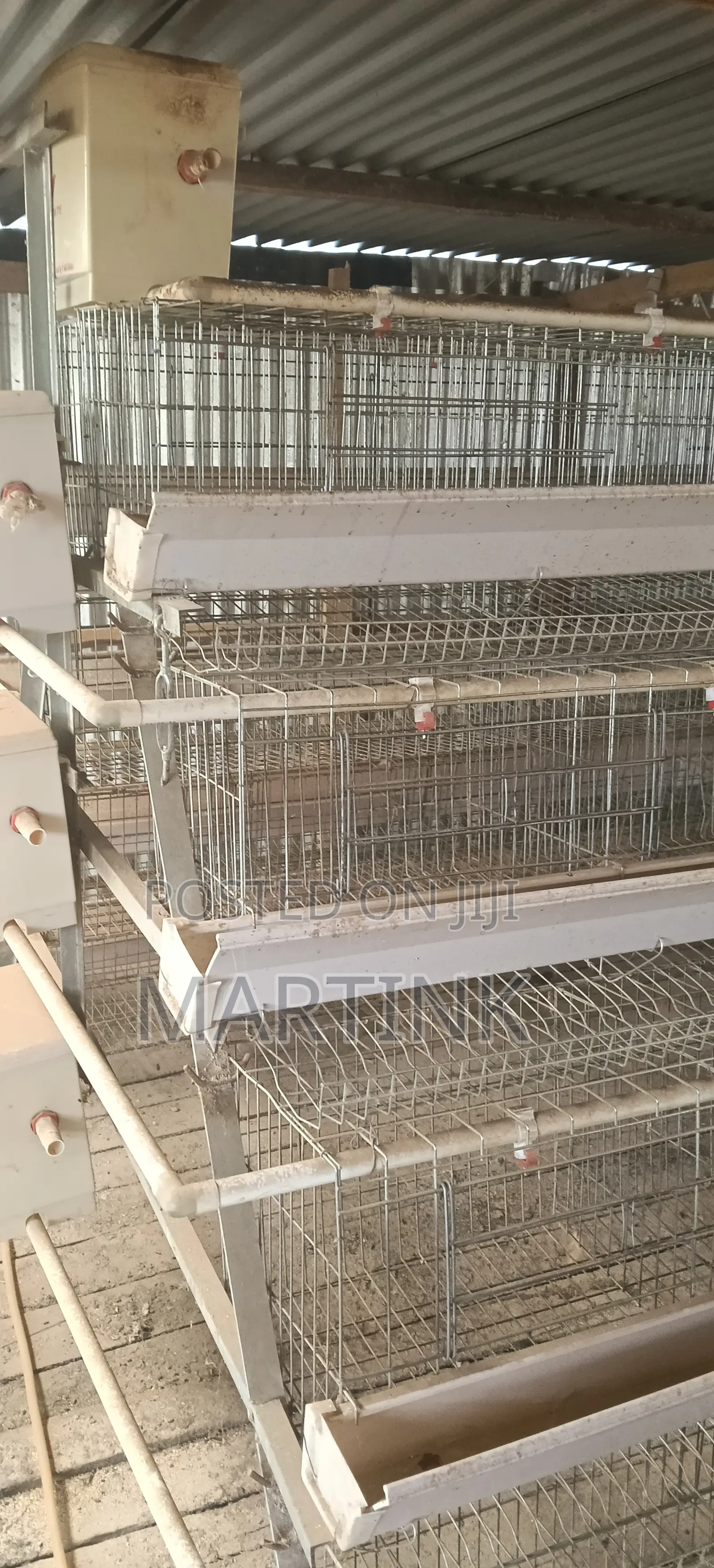 Chicken Cages 128 Birds a-Type