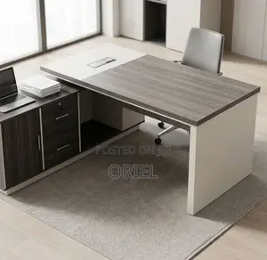 Office Desk : Director 1.6M Desk