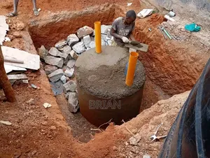 Biodegeder Construction by Brain