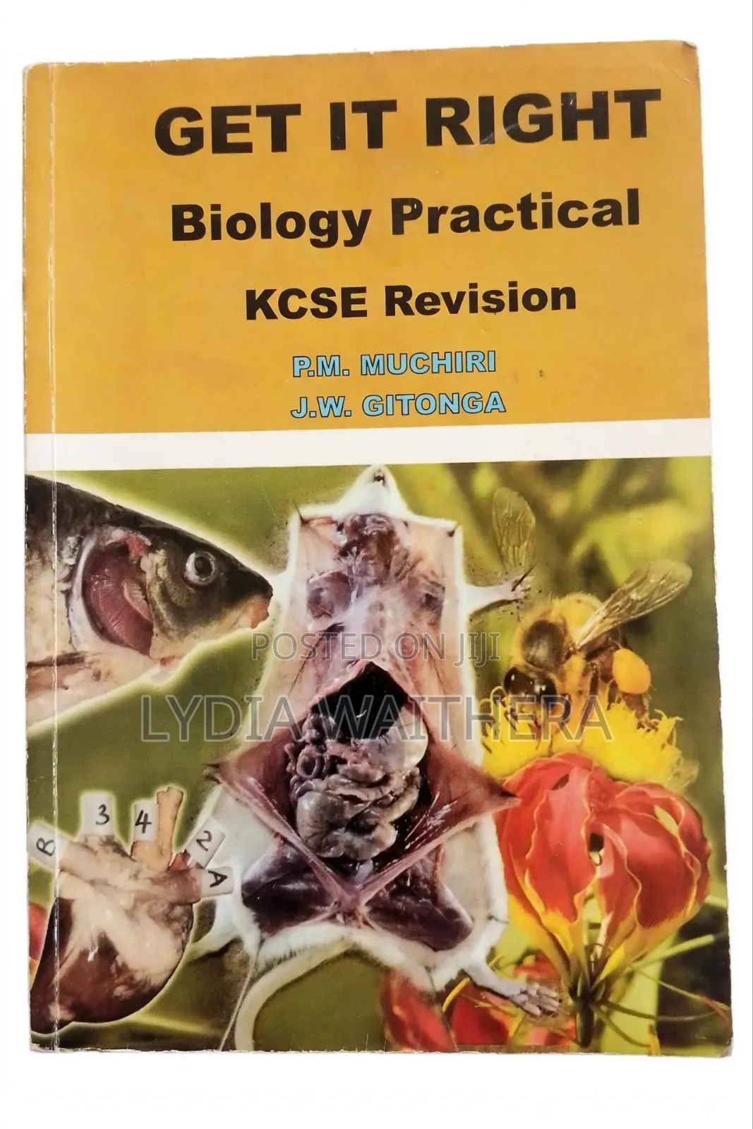 Studying Materials