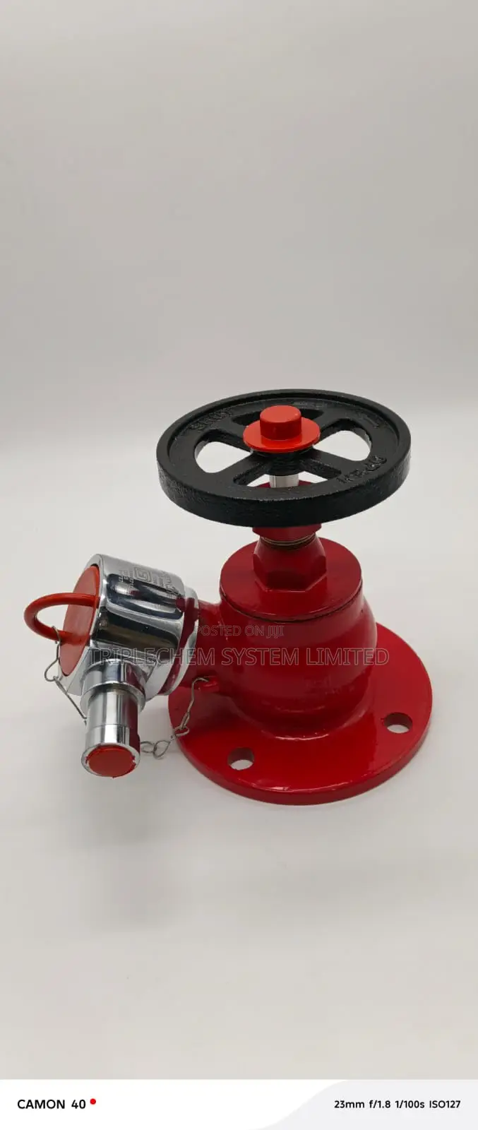 Flanged Landing Valve