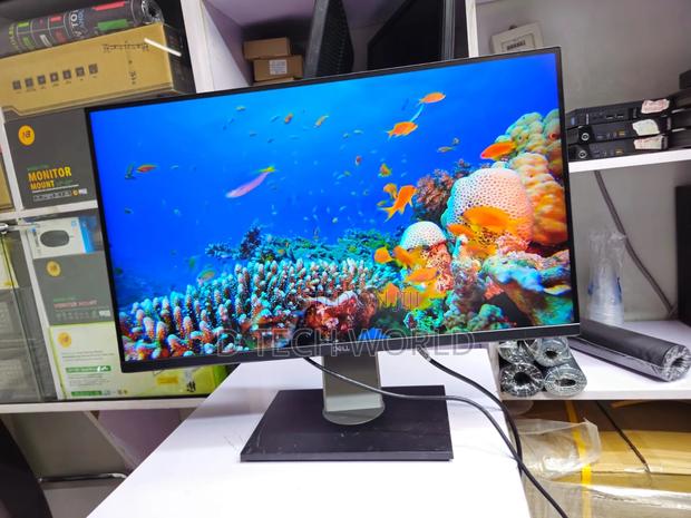 Dell P2720DC 27 Inch Monitor
2k Resolution
75hz Refresh Rate