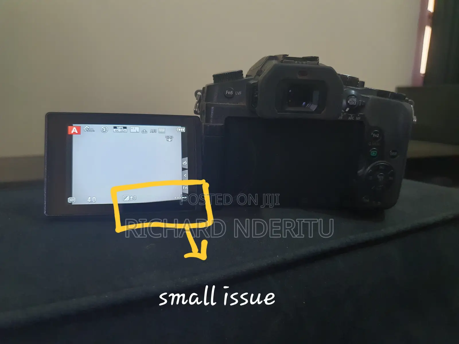 Panasonic Lumix G85 With Small Issue With OIS