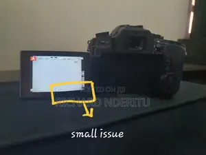 Panasonic Lumix G85 With Small Issue With OIS