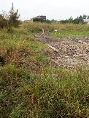 100*100 Commercial Plot for Sale at Ruai Stage 26