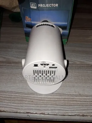 Entertainment Projector