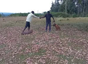 Controlled Aggression Training