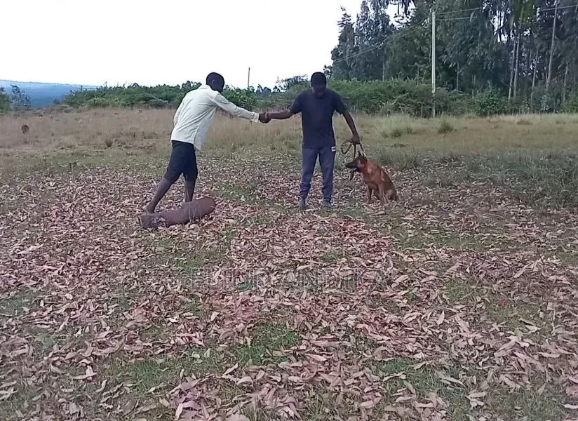 Controlled Aggression Training