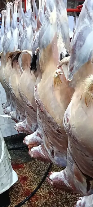 Goat/Sheep Meat.