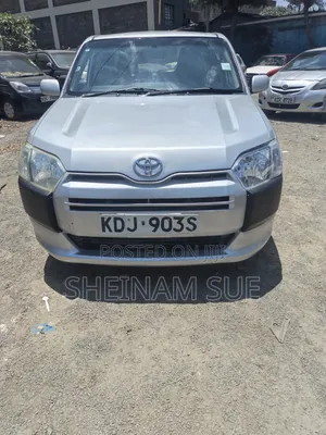 Toyota Probox 1.5 DX 2WD 2015 Silver