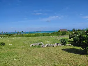 8 Acres Sandy Beachfront Land for Sale in Jacaranda, Watamu