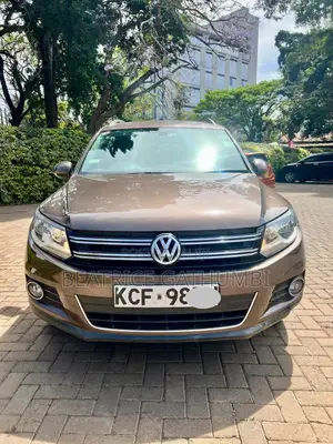 Volkswagen Tiguan 2014 Brown