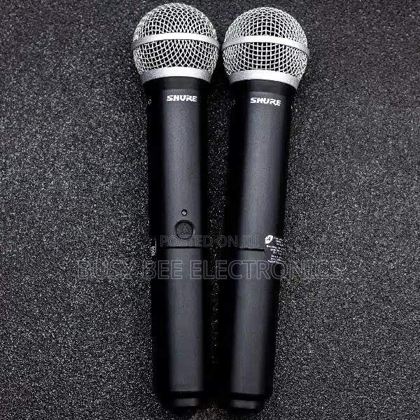 Shure PG58 2 Cardioid Dynamic Wireless Microphone - main view