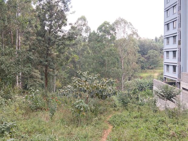 1/2 an Acre in Tigoni.Kentmere