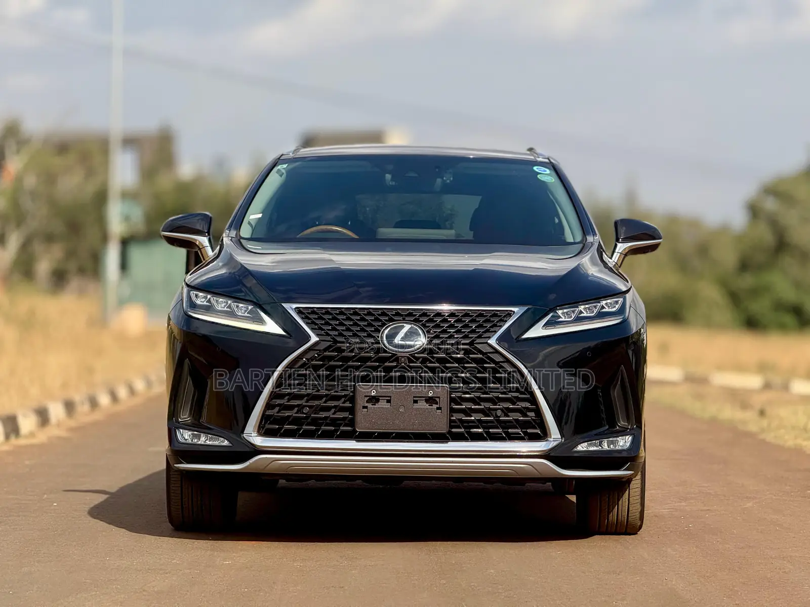 Lexus RX 300 2WD 2019 Black