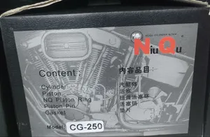 Niqu Cylinder Block Kit-Cg 250