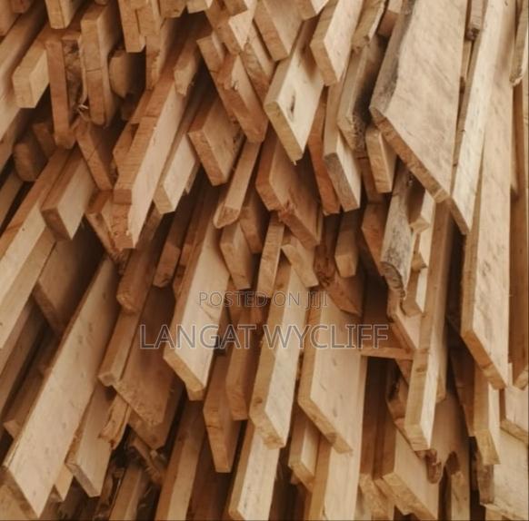 Timber Kings
