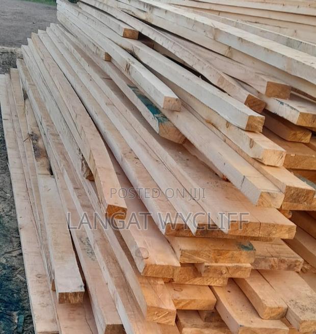 Timber Kings - thumbnail 2