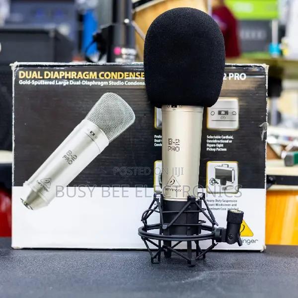 Behringer B-2 PRO Large Dual-Diaphragm Studio Condenser Microphone - main view