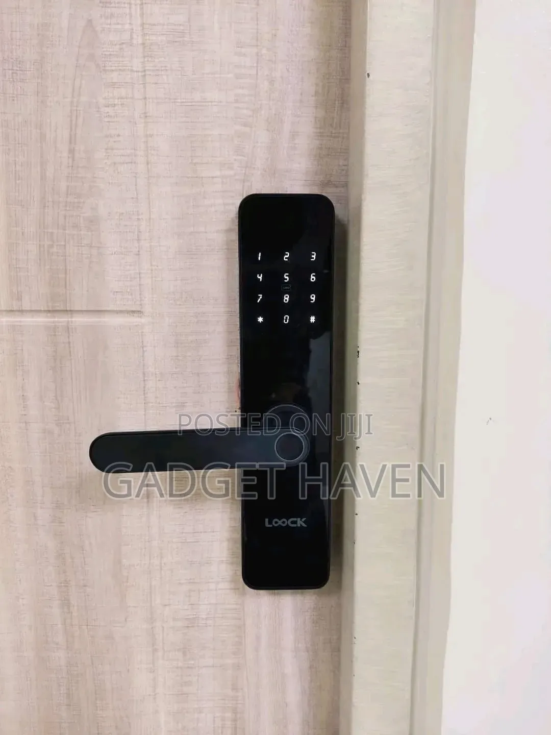 Door Lock With Fingerprint and Password Unlocking Options