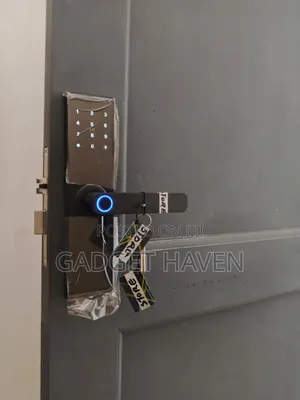 Door Lock With Fingerprint and Password Unlocking Options