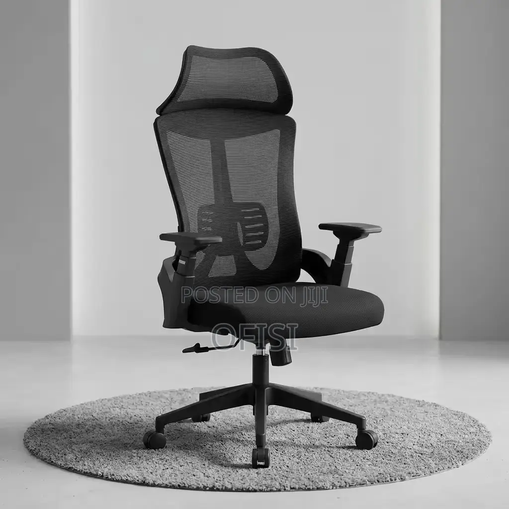 Office Chair; Lama Lumbar Support Office Chair