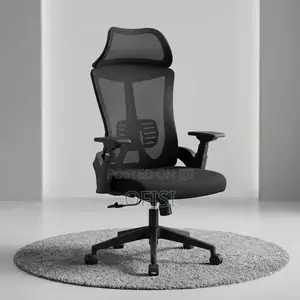 Office Chair; Lama Lumbar Support Office Chair