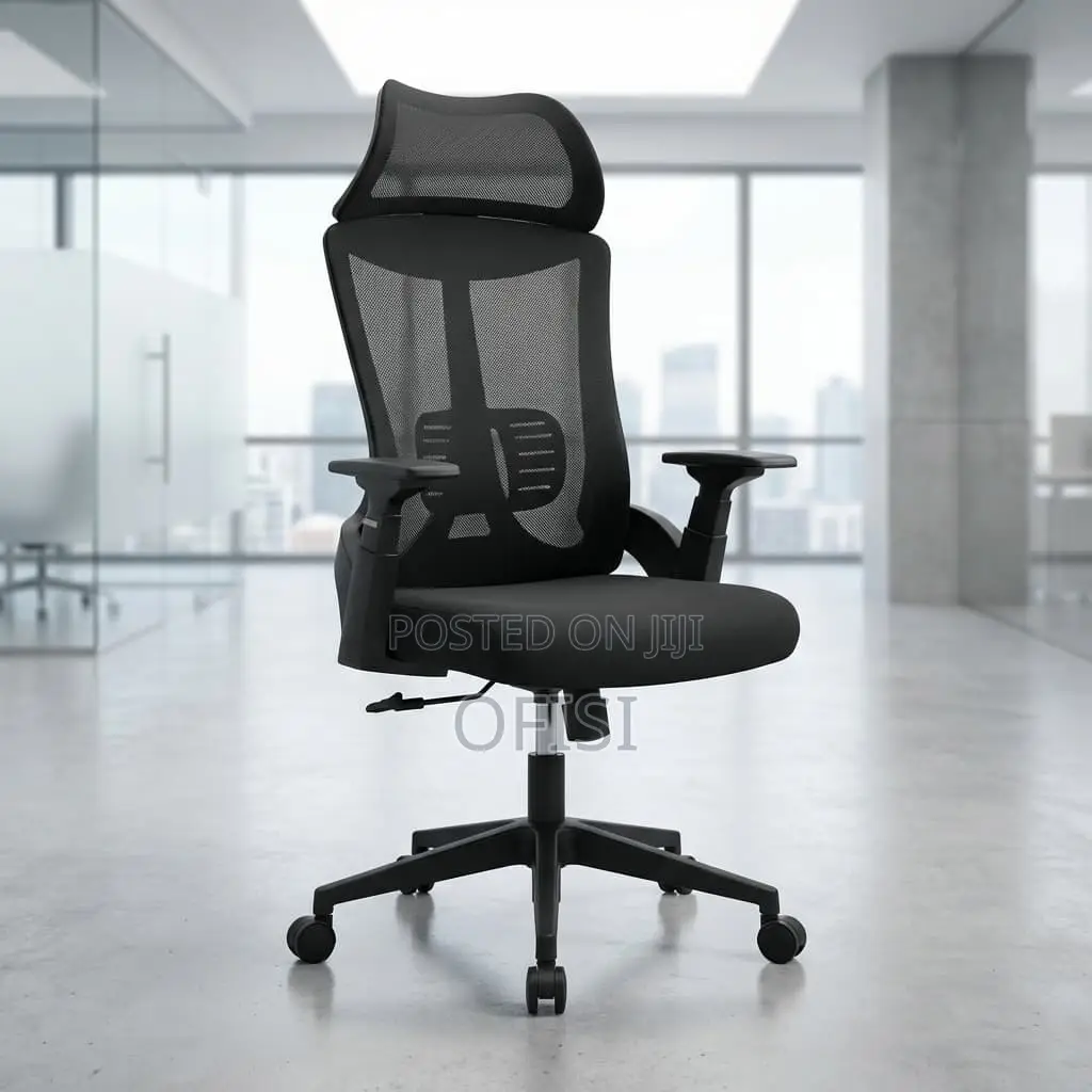 Office Chair; Lama Lumbar Support Office Chair