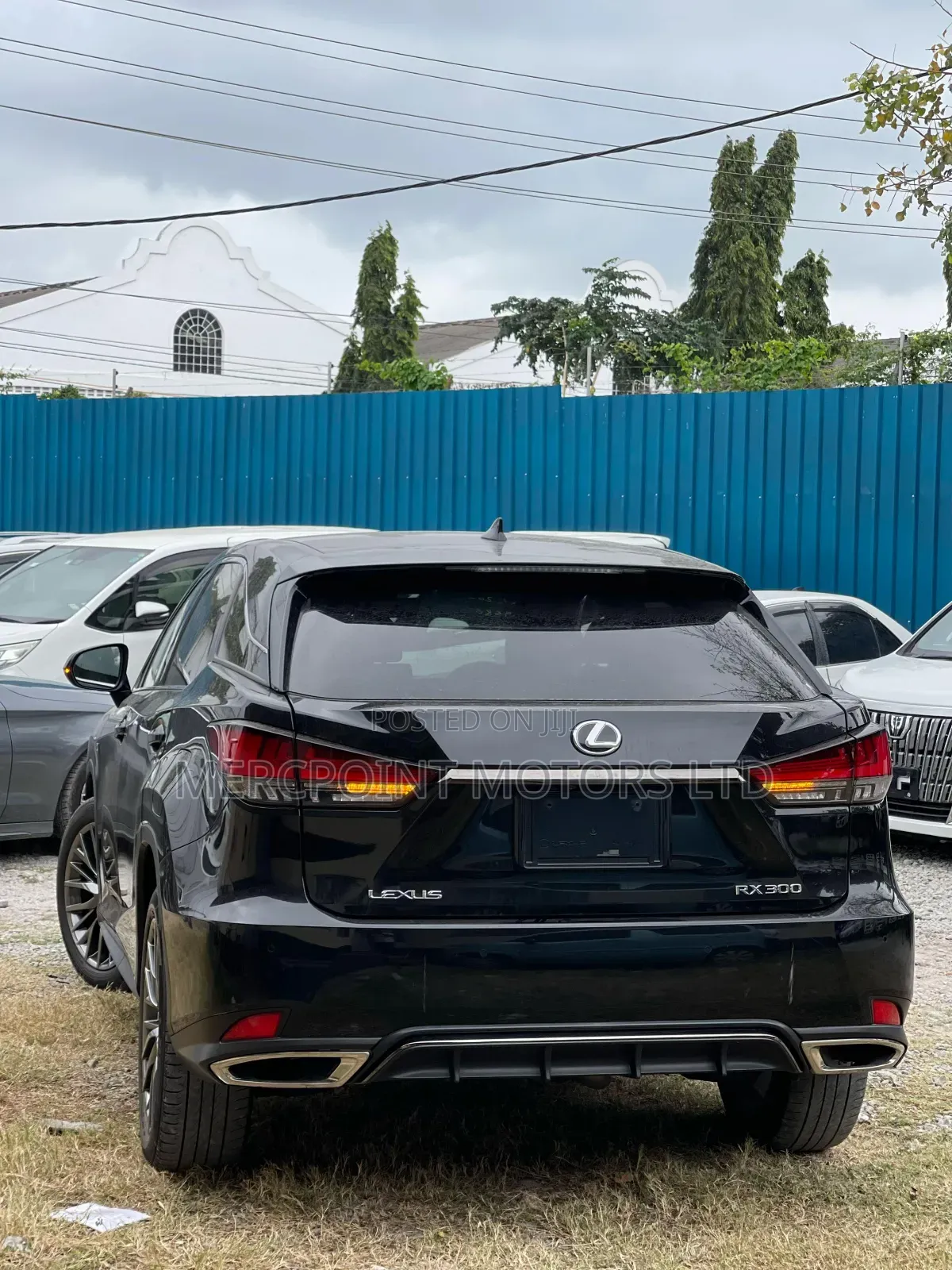 Lexus RX 300 4WD 2020 Matt Black