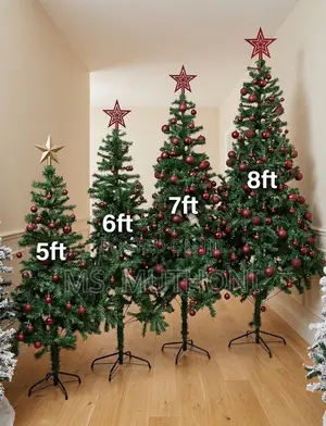 Get Your Festive Christmas Tree!