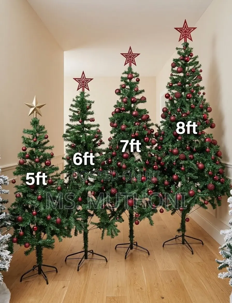 Get Your Festive Christmas Tree!