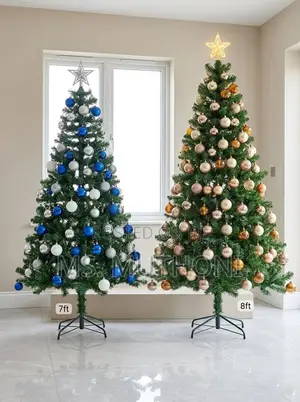 Get Your Festive Christmas Tree!