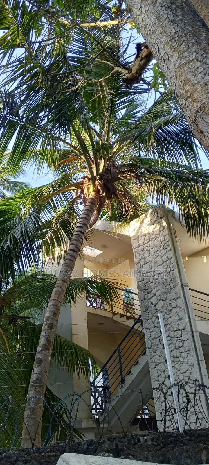 Cutraz Homes One Bedroom Beach View