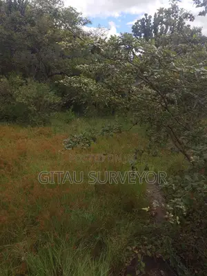 15 Acres Kavumbu Machakos at 250k Per Acre