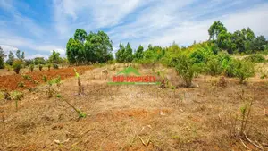 Residential Plots for Sale in Kikuyu, Ng'amba