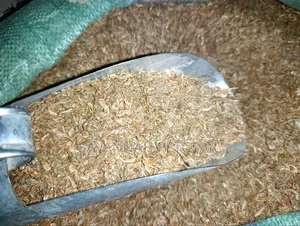 Dried Ochonga (Freshwater Shrimp / Small Crustaceans) - 10 Kg