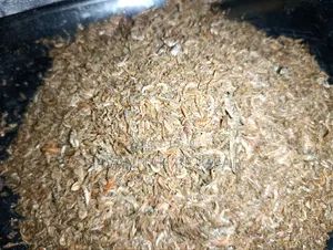 Dried Ochonga (Freshwater Shrimp / Small Crustaceans) - 10 Kg