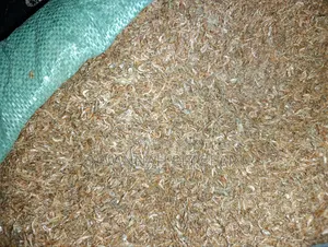 Dried Ochonga (Freshwater Shrimp / Small Crustaceans) - 10 Kg
