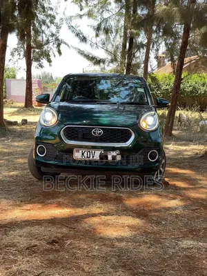 Toyota Passo 2018 Green