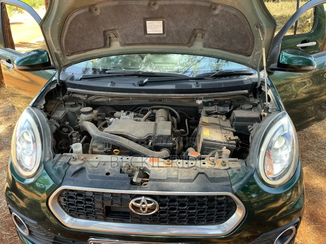 Toyota Passo 2018 Green