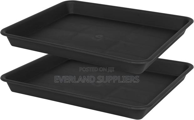 Efficient Hydroponic Planting Trays - No Holes - main view